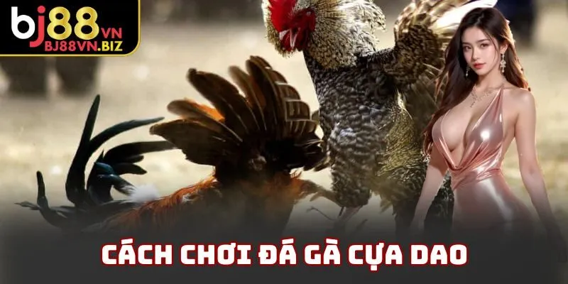 Cách chơi đá gà cựa dao