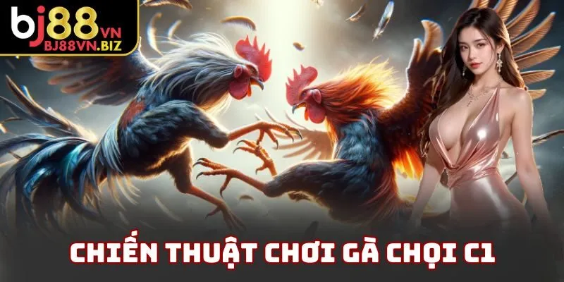 Chiến thuật chơi gà chọi c1