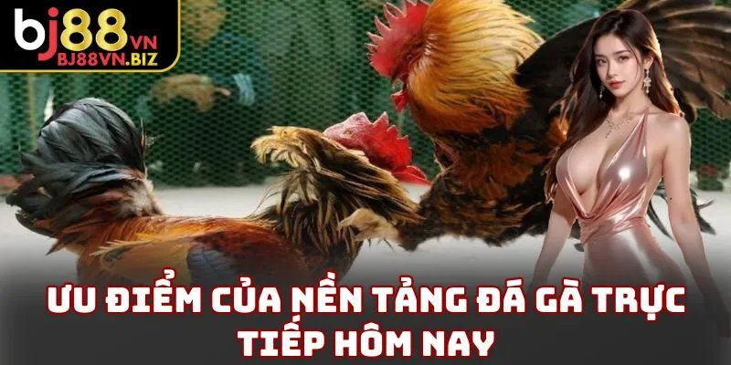 Ưu điểm của nền tảng đá gà trực tiếp hôm nay